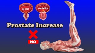 Top 5 exercises work to treat prostate increase [upl. by Adnilim]