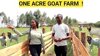 How He Makes PROFITS On An ACRE Of LAND  Goat Demo FARM [upl. by Holden]