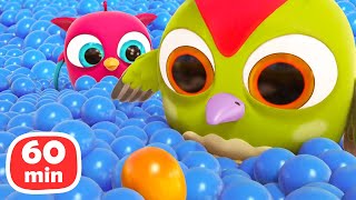 Baby cartoons Full episodes cartoon amp Hop Hop the Owl 1Hour cartoon for kids [upl. by Seidler]