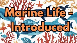 Marine Life  Introduced [upl. by Leinahtan94]