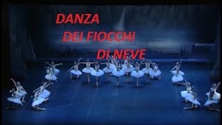 Danza dei fiocchi di neve [upl. by Anileve]