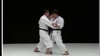 Paiku Bunkai Kata [upl. by Raney766]