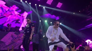 BABY RASTA amp GRINGO En Vivo  Sala Premium DO  16022018 CHILE [upl. by Marva]