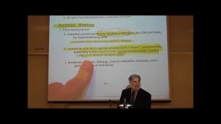 PHARMACOLOGY NARCOTIC ANALGESICS by Professor Fink [upl. by Madelle61]