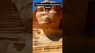 Tutankhamun The Boy Kings Mysterious Death [upl. by Madaras]