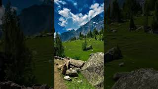 Kashmir 🍁❤️ shorts beautifulkashmir kashmir nature mountains snow viral naturelovers [upl. by Armilda]