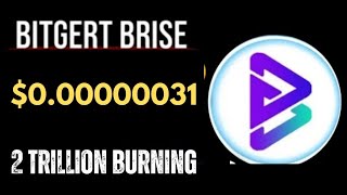 BRISE Best Coin In 2024  Bitgert 2T Burning Soon  BRISE 000000031  Binance Listing [upl. by Edaj]