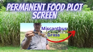 The Best Way to Plant a Permanent Plot Screen with Miscanthus [upl. by Corri234]