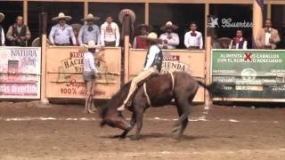 Los 5 Mejores Jineteos de Yegua  Nacional Charro Jalisco 2014 [upl. by Risay]