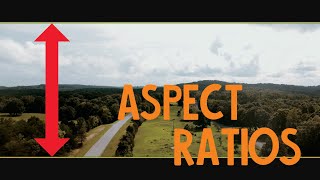 2 ways to change your aspect ratio in DaVinci Resolve [upl. by Eelrihs]