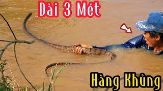 Hai Con Rắn Hổ Cực Đại  Mười Thương SB [upl. by Akeenat]