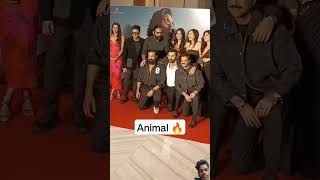 Animal movie 🚀🚀🔥 bollywood movie song music ytshortsvideo [upl. by Eseerehs]