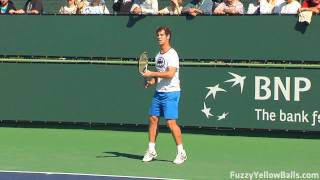 Richard Gasquet hitting in High Definition [upl. by Elliven]