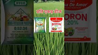 धान में बाली निकलते समय कौन सा खाद डालें  paddy best fertilizer  no1khetibaadi [upl. by Gamin]