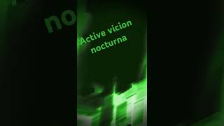 vicion nocturna [upl. by Partan554]