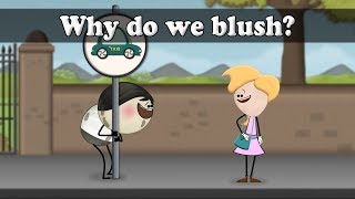 Why do we blush  aumsum kids science education children [upl. by Sutsuj]