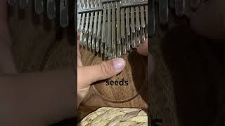 Edvard Griegs Solveigs Song kalimba [upl. by Imena]