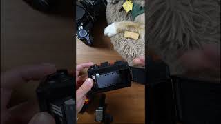 How To Load The Lomography Oktomat [upl. by Ferdinana139]