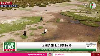 🔴EN DIRECTO🔴  Radio FIDES 170524 [upl. by Brodeur856]