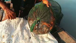 cholonbil fishfishing [upl. by Narcissus]