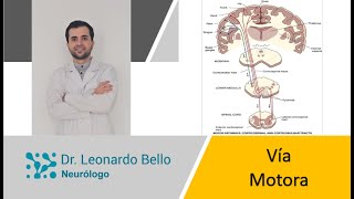 Toda la vía motora explicada en 9 minutos [upl. by Narbig375]