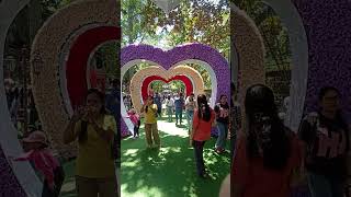 ada lorong cinta di surabaya zoo shorts short yearofyou asmr kbs viral zoo surabaya cinta [upl. by Junie]