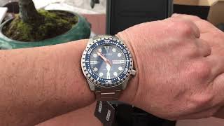 Citizen Automatic Sports Dive Watch Unboxing amp Review  NH838163L [upl. by Emile918]