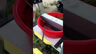 Watering The Honey Bees bee [upl. by Parish]