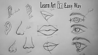 How to draw Eyes  Nose and Lips easy Tutorial step by step  pencil drawing  face drawing [upl. by Einnahc883]