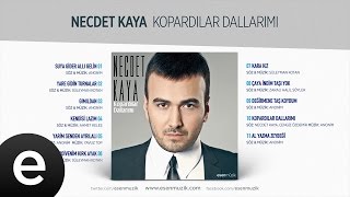 Kara Kız Necdet Kaya Official Audio karakız necdetkaya  Esen Müzik [upl. by Aneehs]