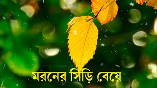 মরনের সিড়ি বেয়ে  Bangla Gojol  Moroner siri beye  Best Lyrics gojol  Srestho Dhormo Islam [upl. by Leann]