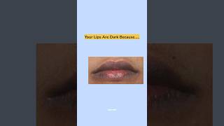 Deconstruct lip balm explore lipblam ytshorts youtubeshorts liplightening fyp spf shyaamli [upl. by Nikolaos]