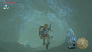 The Legend of Zelda Breath of the Wild To Quomos Shrine  How to Find Shrine To Quomos [upl. by Rod203]