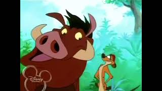 Timon and Pumbaa Episode 62 A  Luck Be a Meerkat [upl. by Tedda]