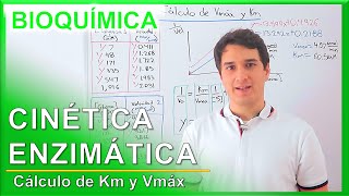 Cinética Enzimática Calculando Km y Vmáx FÁCIL  Camach Learn [upl. by Aloel956]