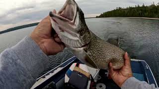 Lake Trout slam fest pt2 [upl. by Jain]