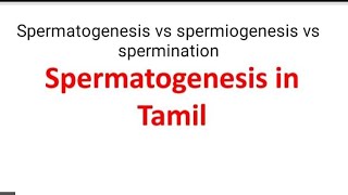 Spermatogenesis in Tamil  Spermatogenesis vs spermiogenesis vs spermination [upl. by Seraphina]