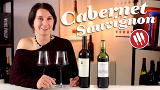 Explore The Styles of Cabernet Sauvignon  Wine Folly [upl. by Artkele]