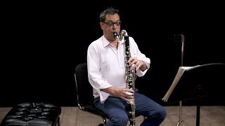 Instrument Bass Clarinet In Depth [upl. by Asereht]