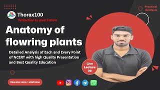 Anatomy of flowering plants Lecture 09 for Class 11 amp NEET Thorax100 [upl. by Ulrikaumeko847]