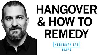 Alcohol Hangovers amp How to Cure a Hangover Based on Science  Dr Andrew Huberman [upl. by Dhiman]