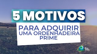 Ordenhadeira 5 motivos para comprar uma Ordenhadeira Prime [upl. by Christiane]