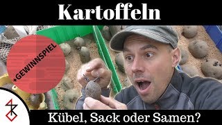 Kartoffeln  Tonne Sack oder aus Samen [upl. by Wauters817]