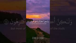 quotYasir Dosari Elevating hearts with his recitationquot quran یاسرالدوسري [upl. by Yumuk]