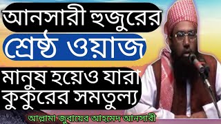 আনসারী হুজুরের শ্রেষ্ঠ ওয়াজ  মাওলানা জুবায়ের আহমদ আনসারী  Mawlana Jubaer Ahmed Ansari  Bangla Waz [upl. by Arac382]