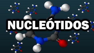 ¿Qué son los nucleótidos y cómo funcionan Explicación fácil y rápida🧬🧬 [upl. by Adyela]