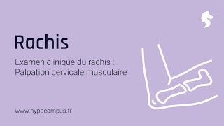 Examen Clinique du Rachis  la Palpation Cervicale Musculaire [upl. by Faustina]