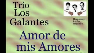 Trío Los Galantes Amor de mis Amores  letra y acordes [upl. by Petracca501]