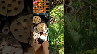 Insektenhotel bauen 🐝 Wildbienen Nisthilfe aus Holzkisten 🤩 garten gartenideen diy wildbienen [upl. by Furr]