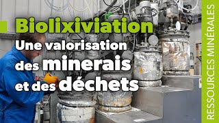 Biolixiviation  une valorisation des minerais et des déchets [upl. by Lowney]